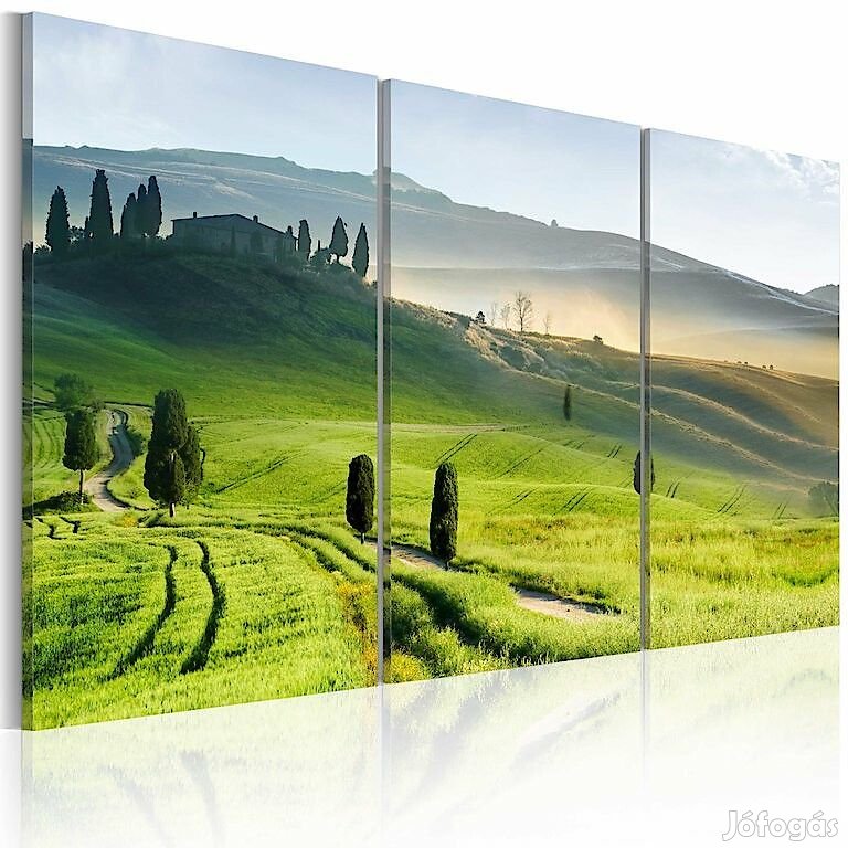 Kép - Time of harvest