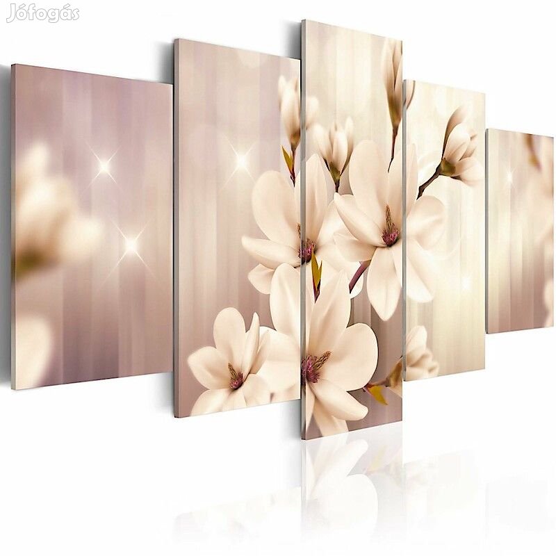 Kép - Tündöklő Magnólia