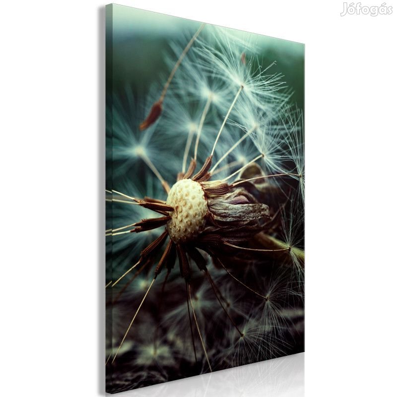 Kép - Utolsó remény