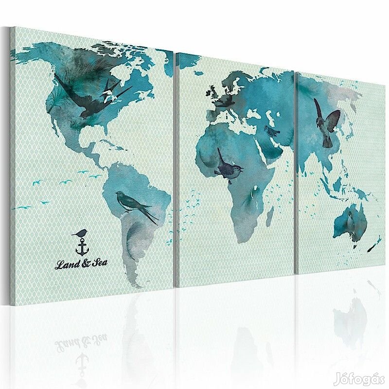 Kép - Világ térkép madarakkal 3