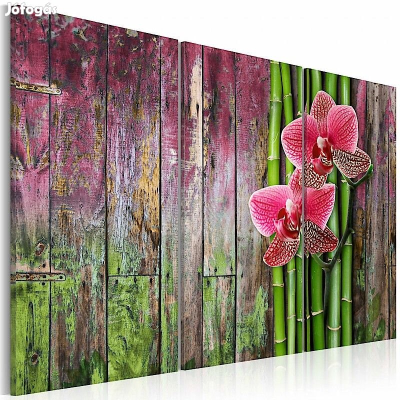 Kép - Virág és bambusznád