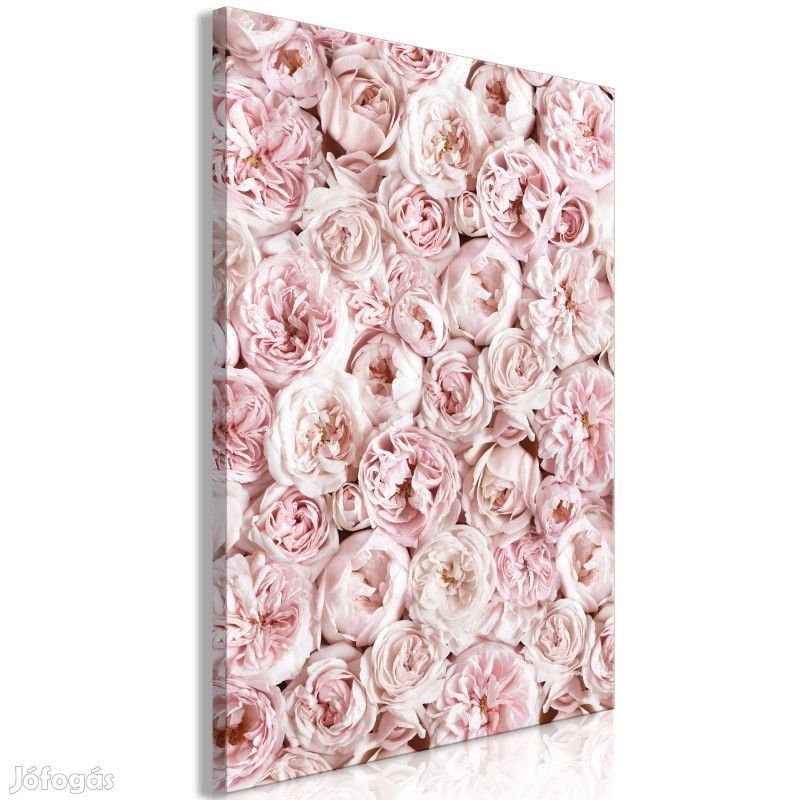 Kép - Virágok a kertemből