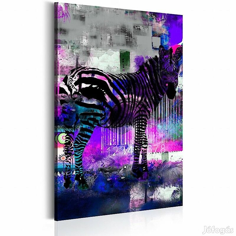 Kép - Zebra lila háttérrel