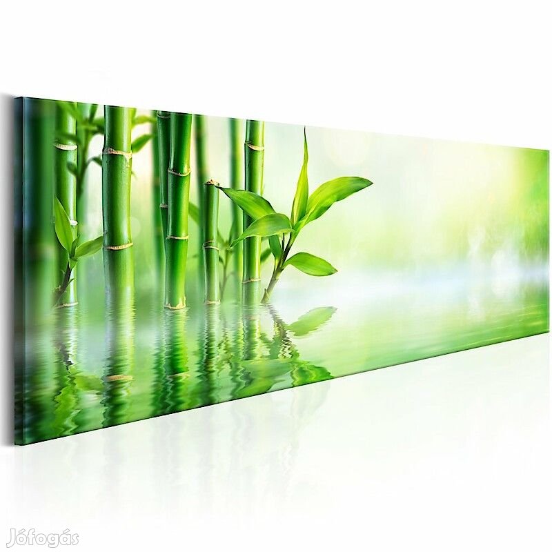 Kép - Zöld Bambusz