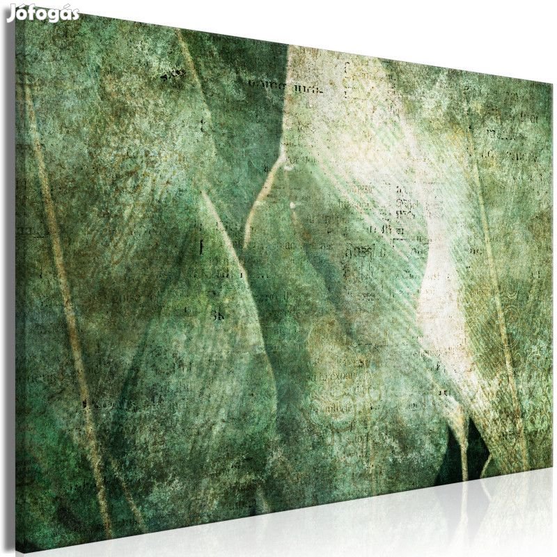 Kép - Zöld forradalom