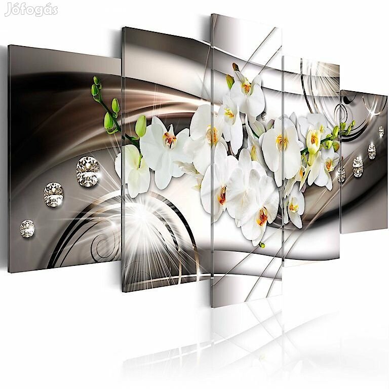 Kép - Csillogó orchideák