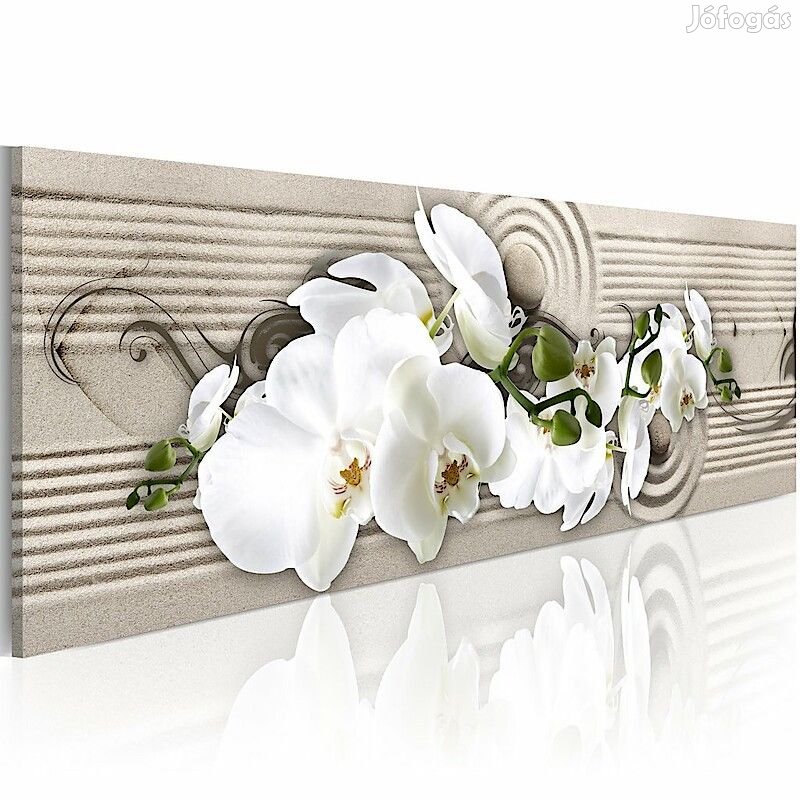 Kép -  Virág és homok 9