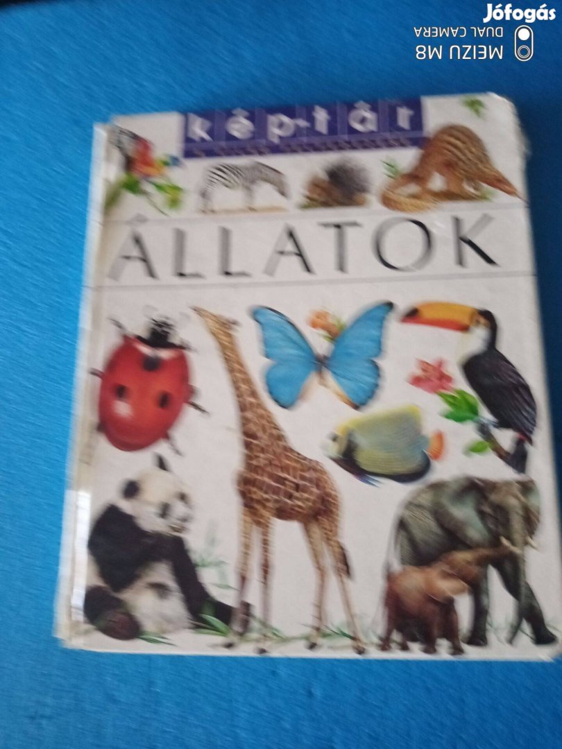 Kép-tár - Állatok Émilie Beaumont 6000ft óbuda