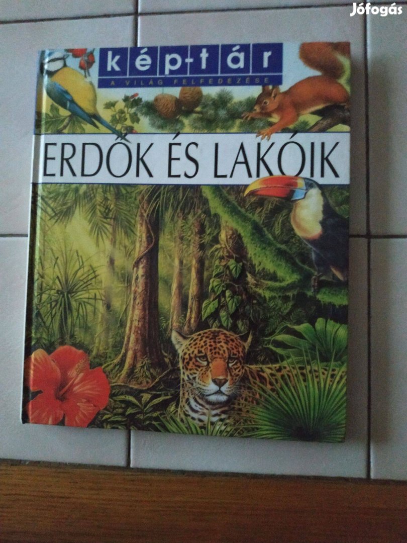 Kép-tár a világ felfedezése Erdők és lakóik