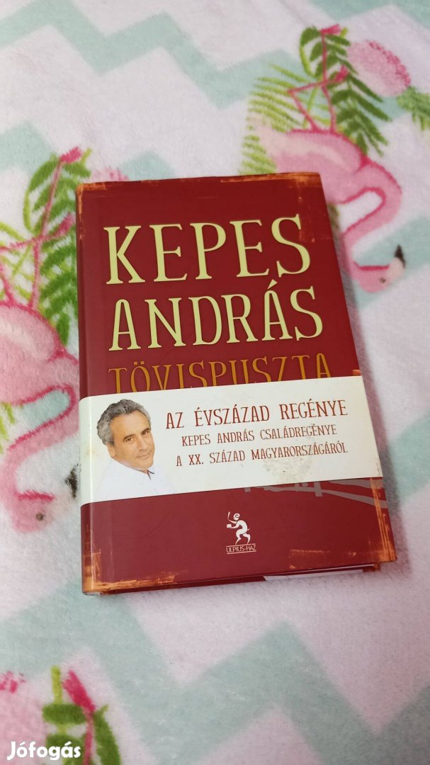 Kepes Andras-Tovispuszta