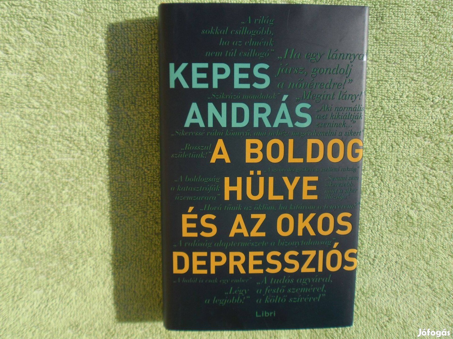 Kepes András: A boldog hülye és az okos depressziós