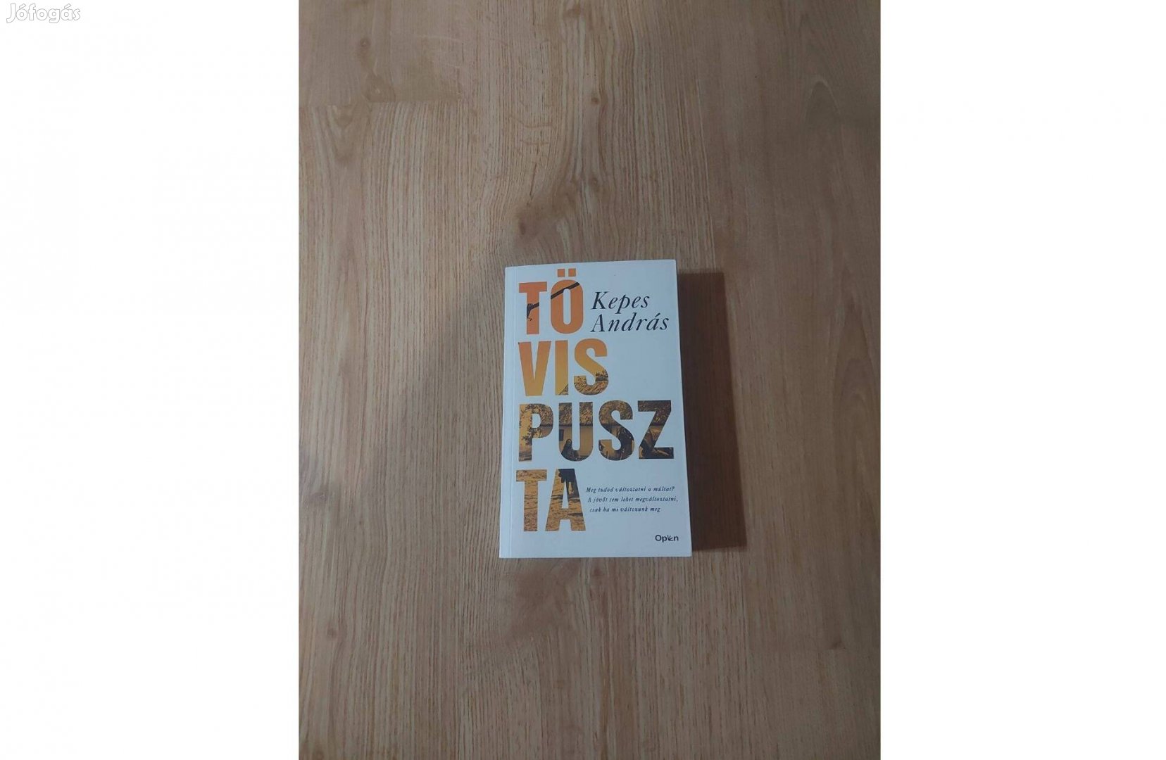 Kepes András: Tövispuszta