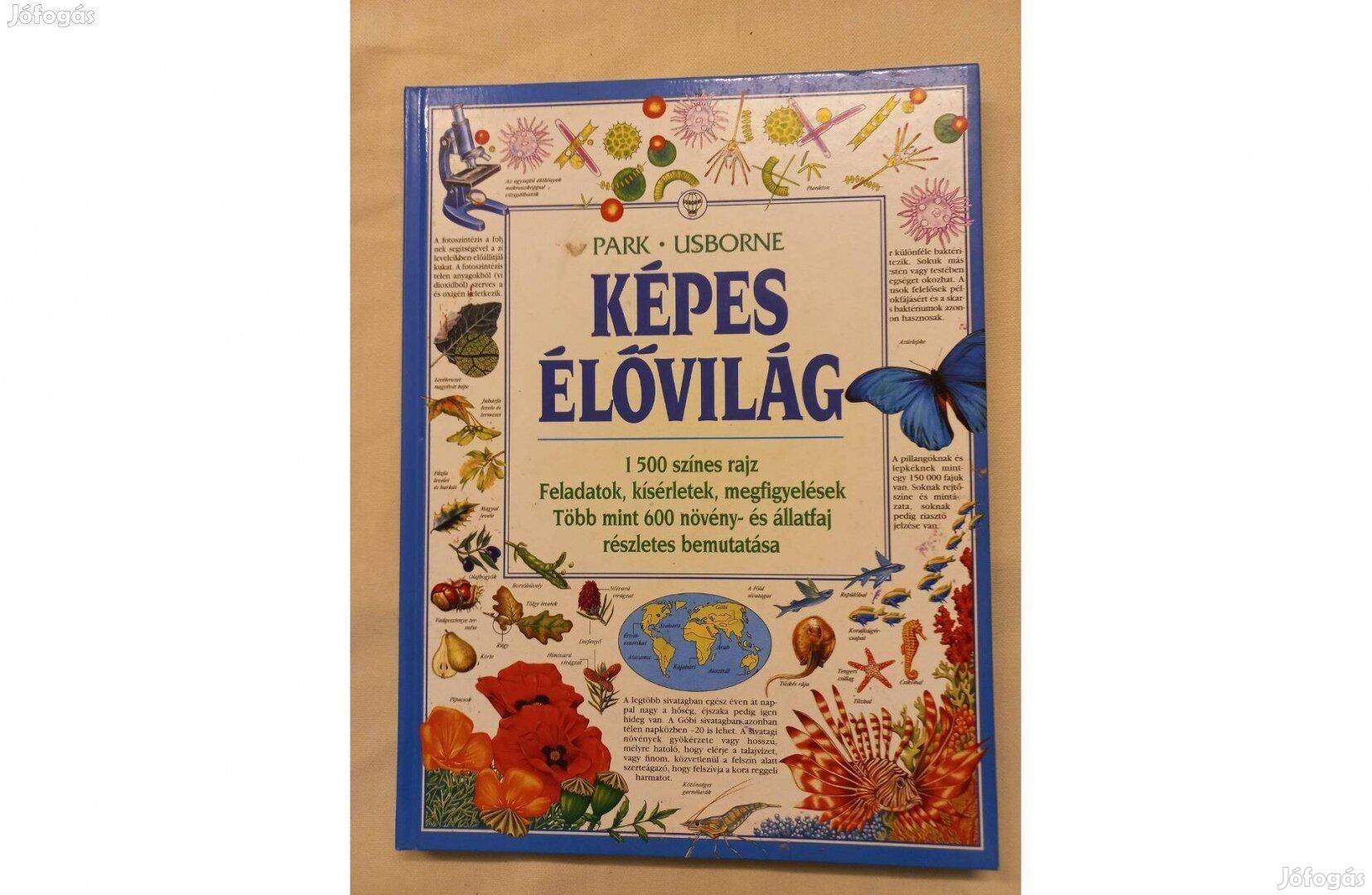 Képes Élővilág Usborne Új