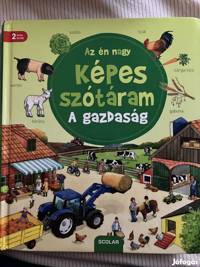 Képes szótáram a Gazdaság Scolar