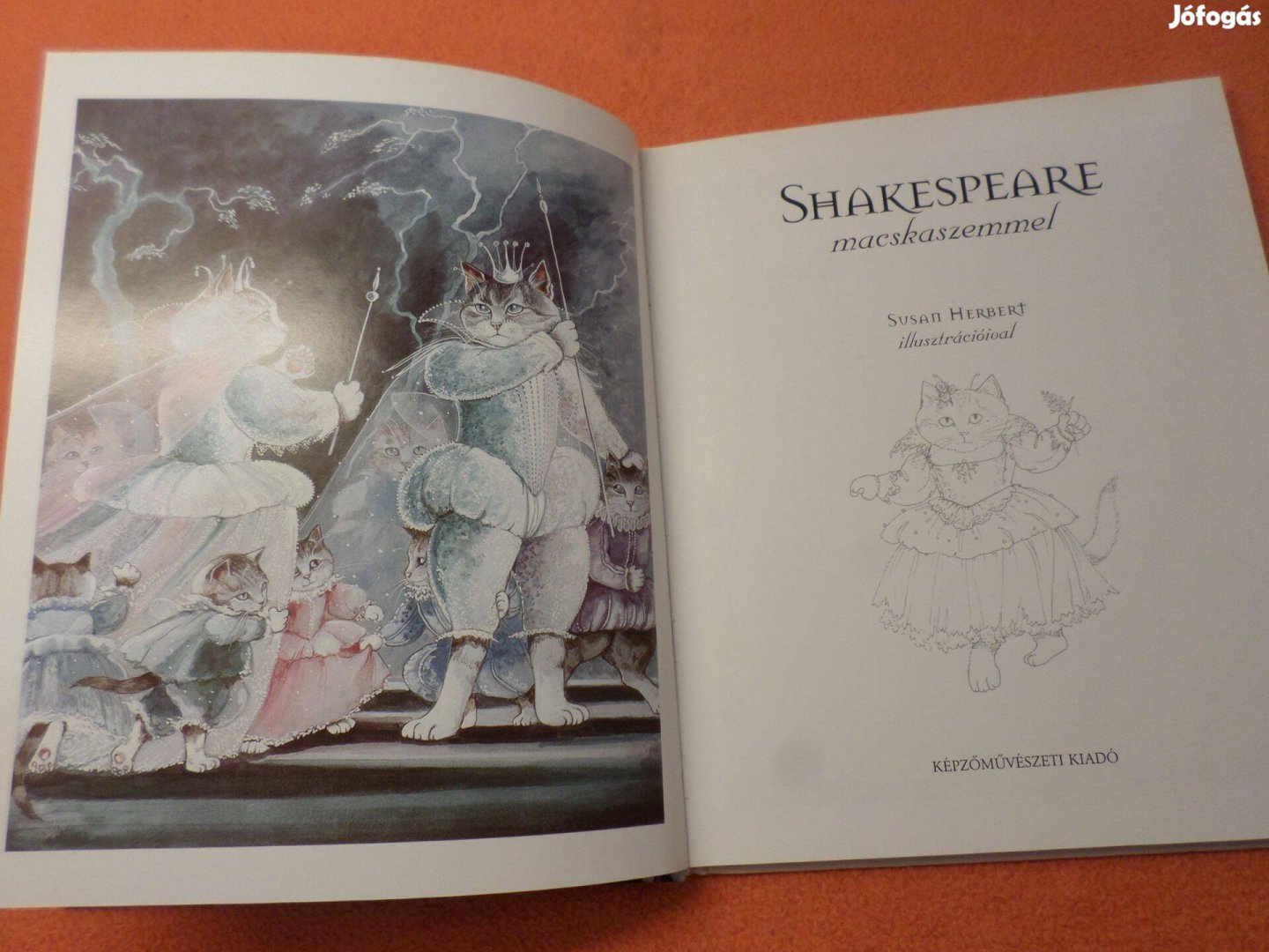 Képzőművészeti Kiadó Shakespeare macskaszemmel 2004 Gyermekkönyv