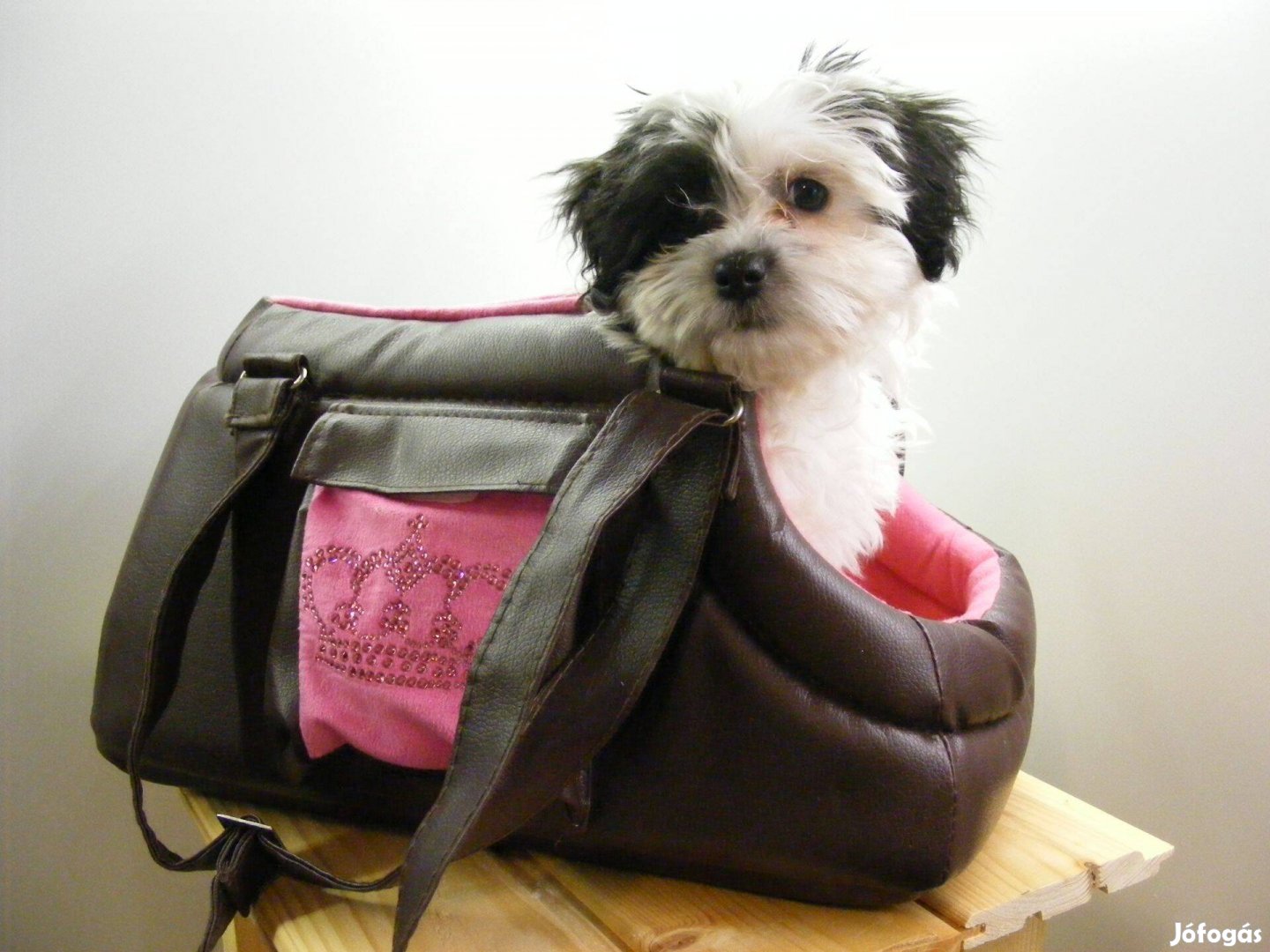 Kerbl kutyaszállító táska, kutyahordozó, 40x20x21 cm