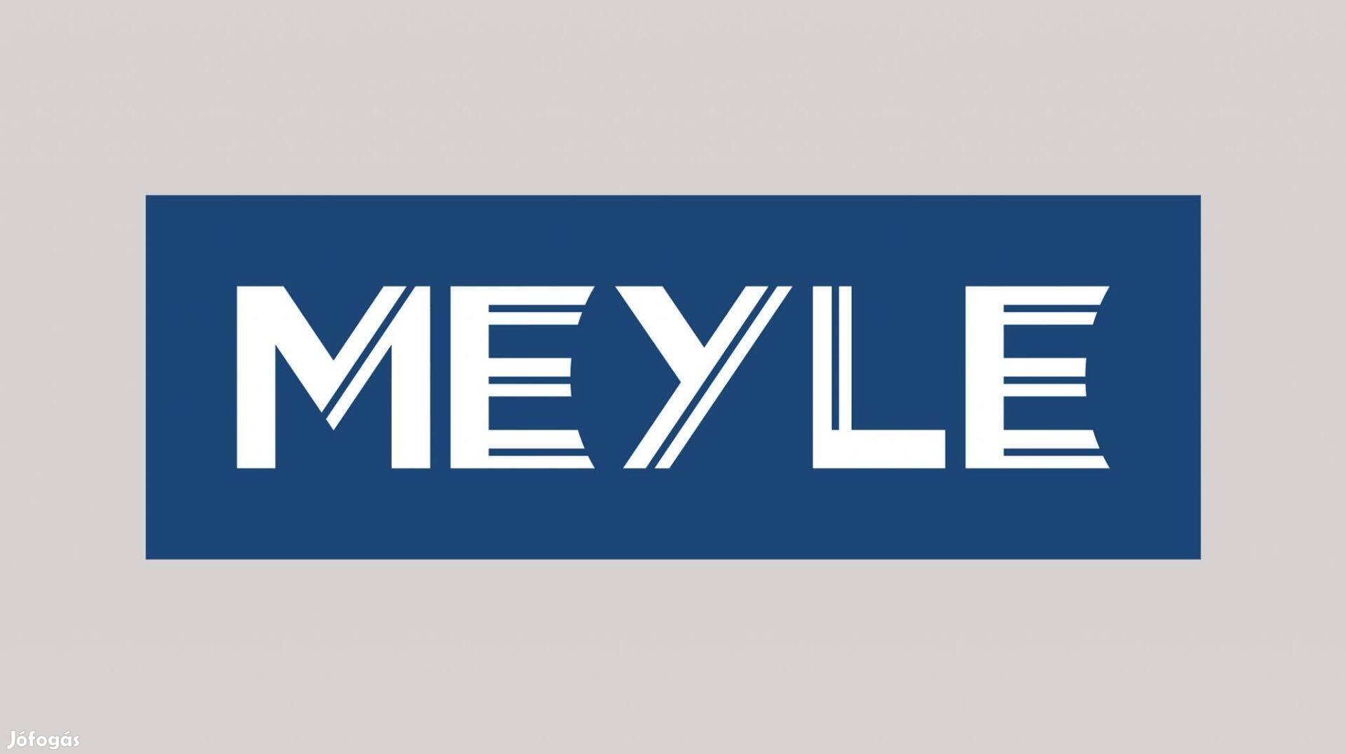 Kerékcsapágy készlet Meyle 100 598 0101 SEAT, Skoda