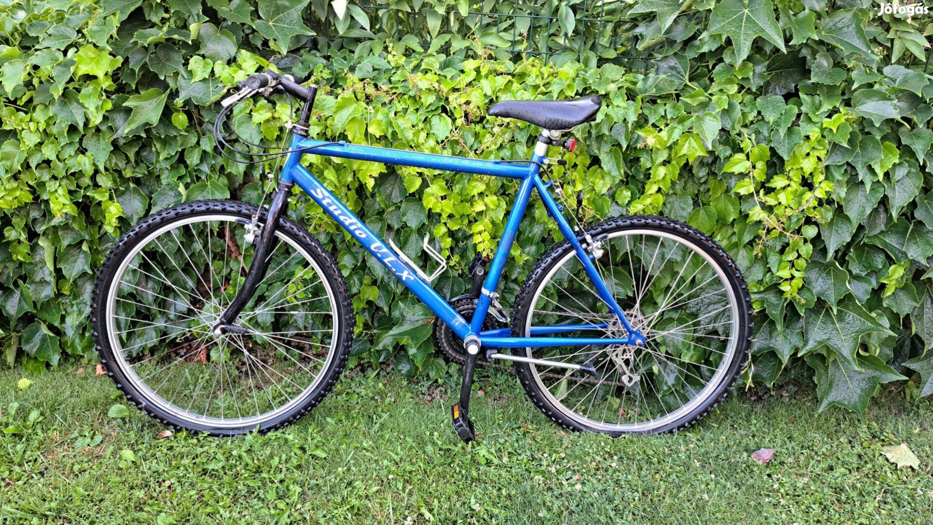 Kerékpár_Férfi mountain bike Olcsón eladó