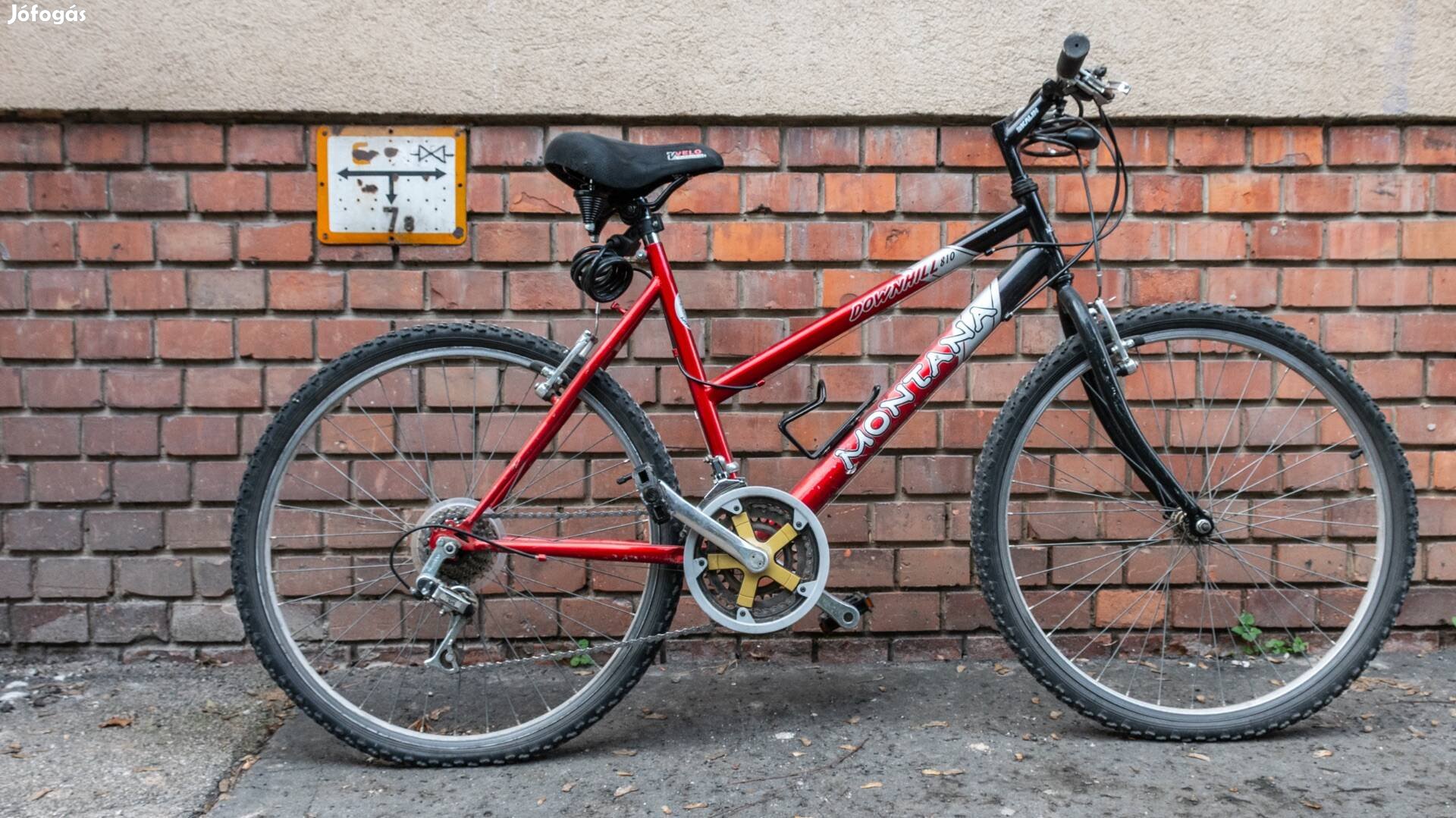 Kerékpár Montana Downhill 810