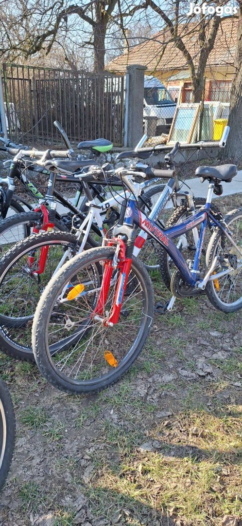 Kerékpár férfi női bicikli