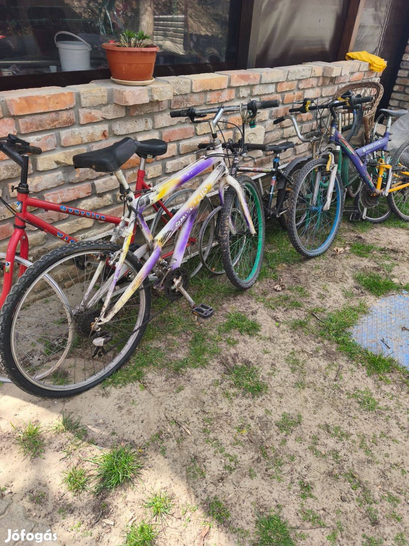 Kerékpár nöi férfi eladó