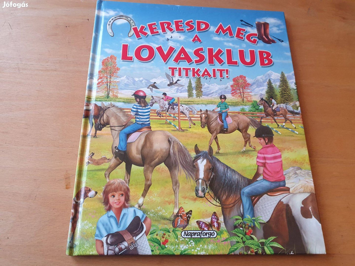 Keresd meg a lovasklub titkait! +Tappancs és a Csodapónik +vászonkép