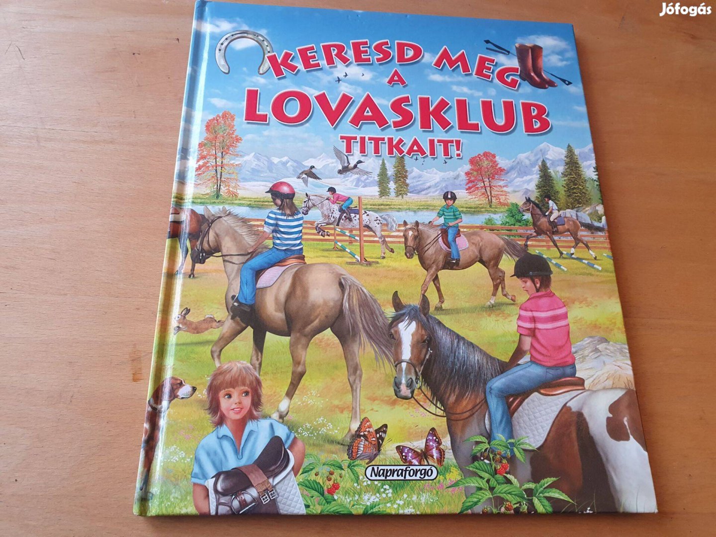 Keresd meg a lovasklub titkait! +Tappancs és a Csodapónik +vászonkép