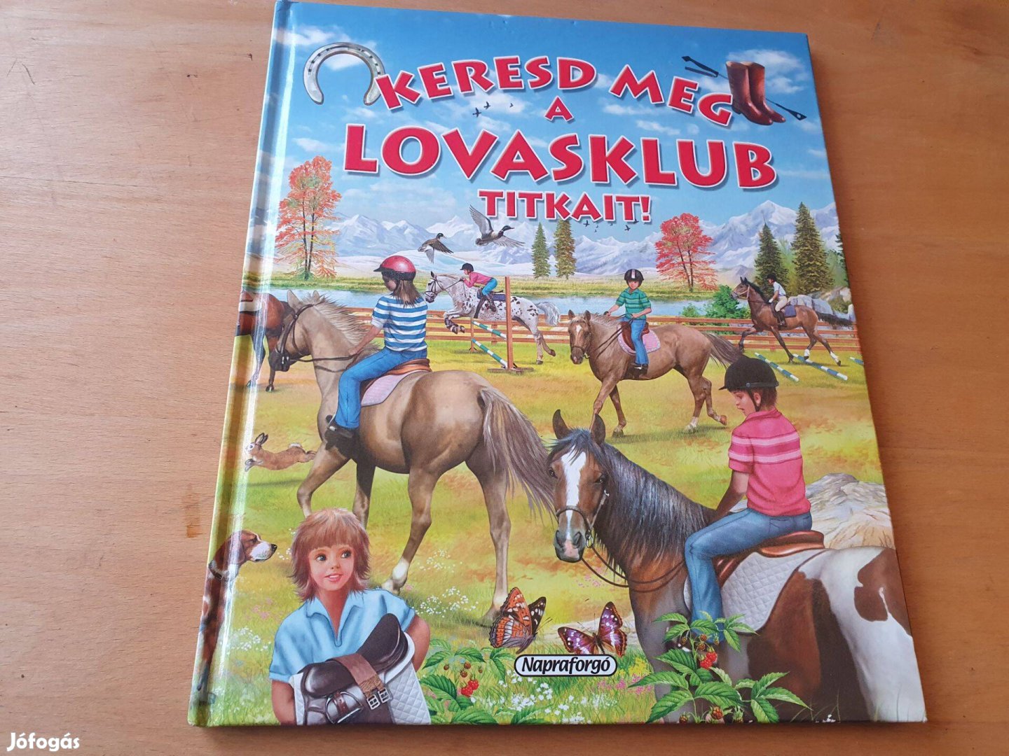 Keresd meg a lovasklub titkait! +Tappancs és a Csodapónik +vászonkép