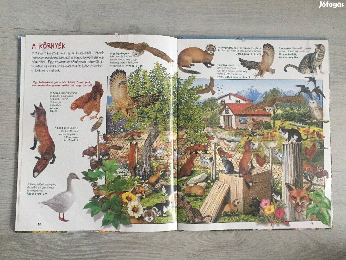 Keresd meg a tanya állatait! - ismeretterjesztő könyv kicsiknek