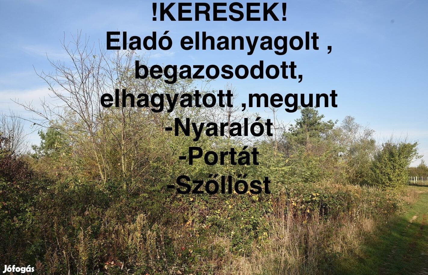 Keresek: Keresek! Eladó elhanyagolt nyaralót , portát