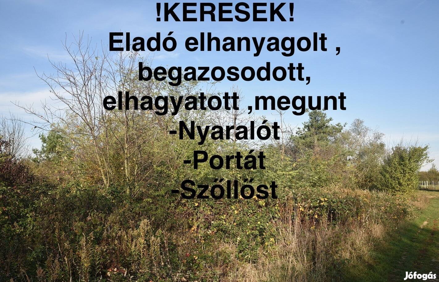 Keresek: Keresek! Eladó elhanyagolt nyaralót , portát