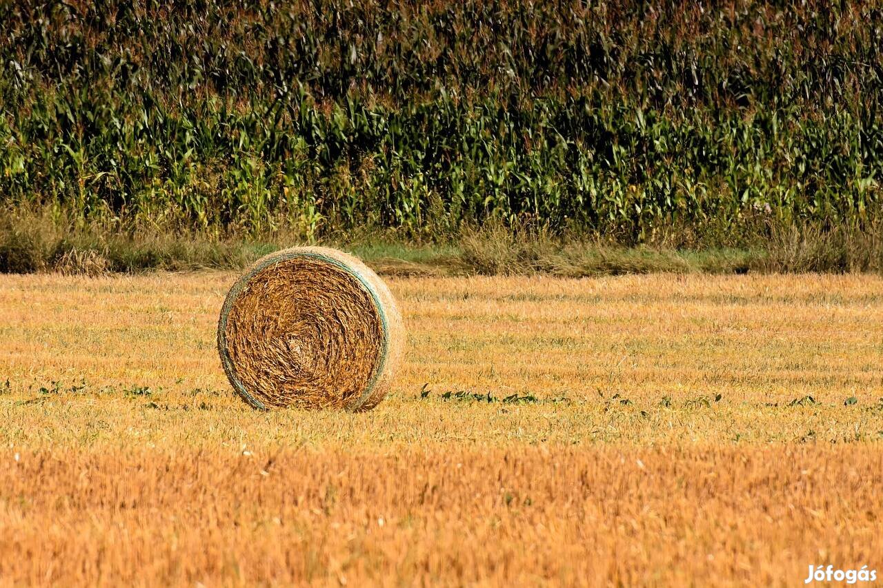 Keresek: Szántót vennék vagy bérelnék