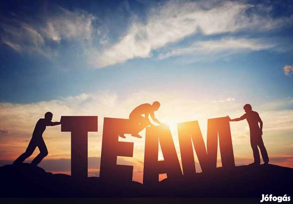 Kereskedelmi és szolgáltató vállalkozás Társat, Befektetőt