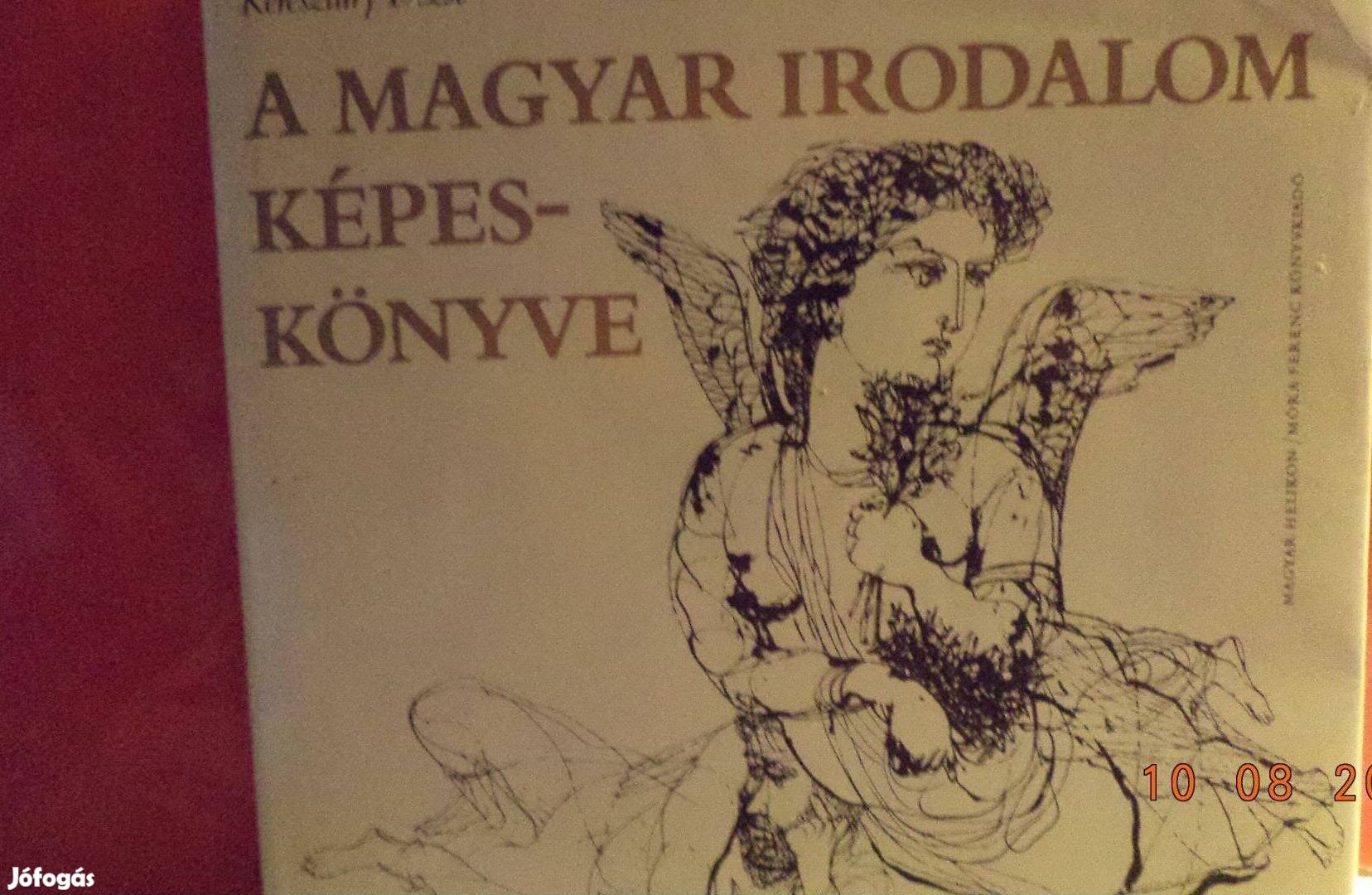 Keresztury Dezső: A Magyar Irodalom képeskönyve