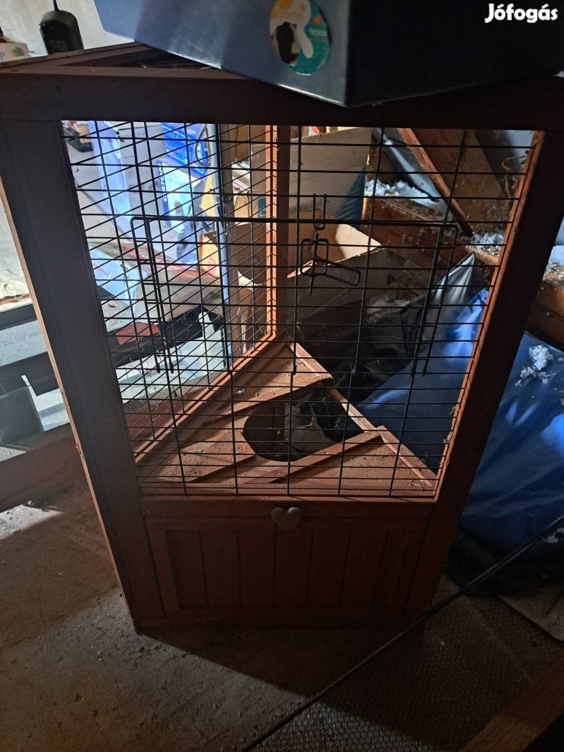 Kert tengerimalac hazikó eladó