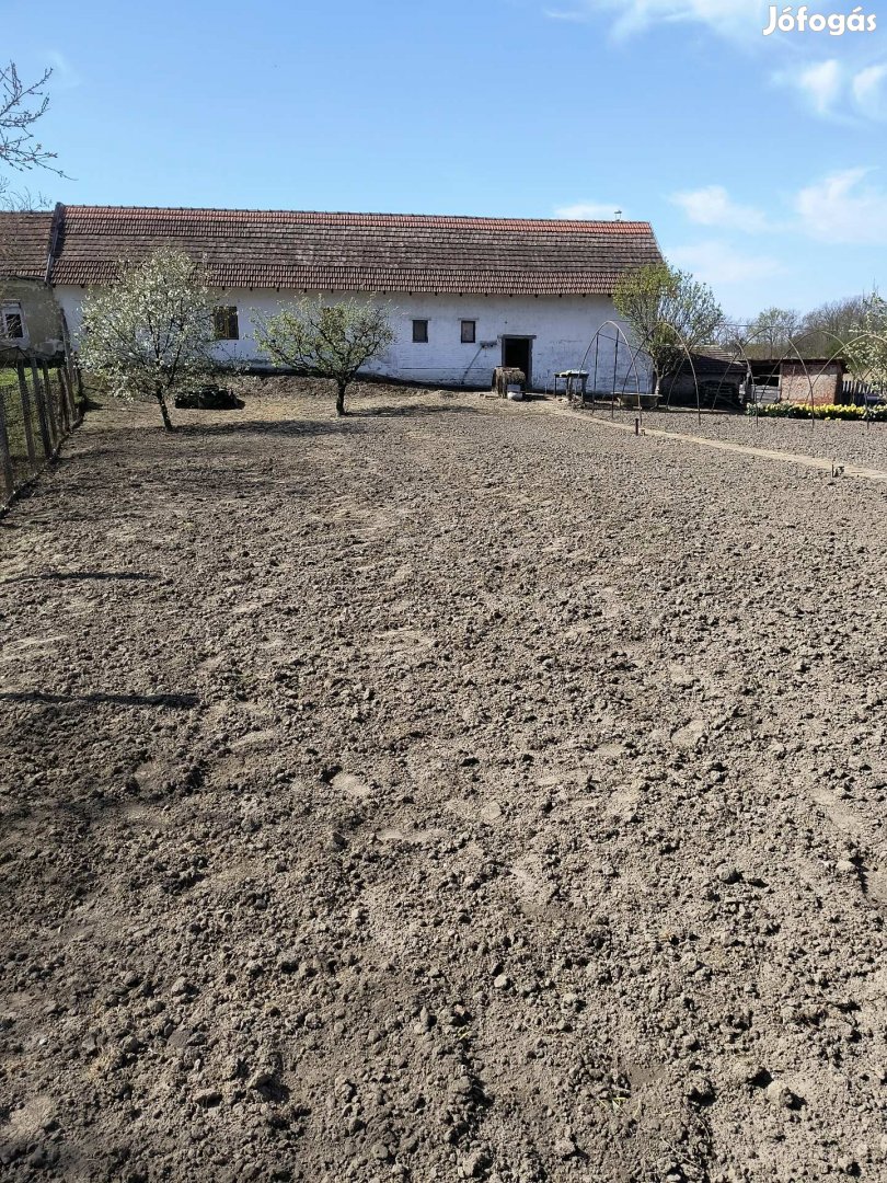 Kertes ház eladó Röszkén