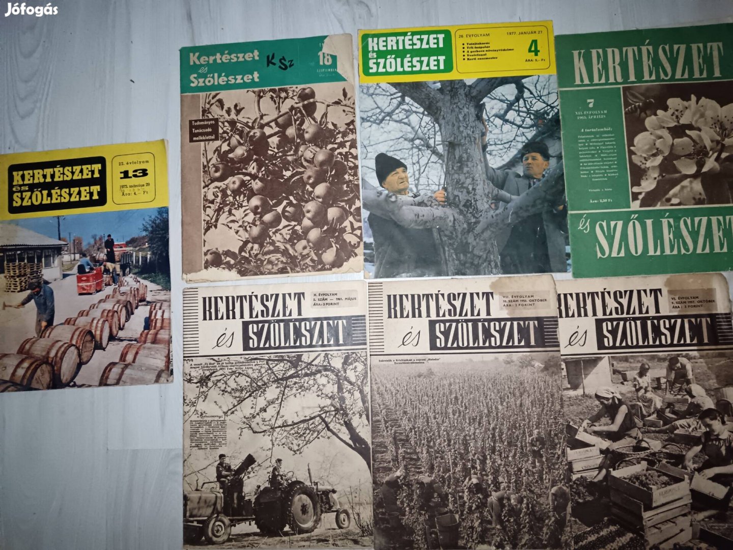 Kertészet és szőlészet magazin 