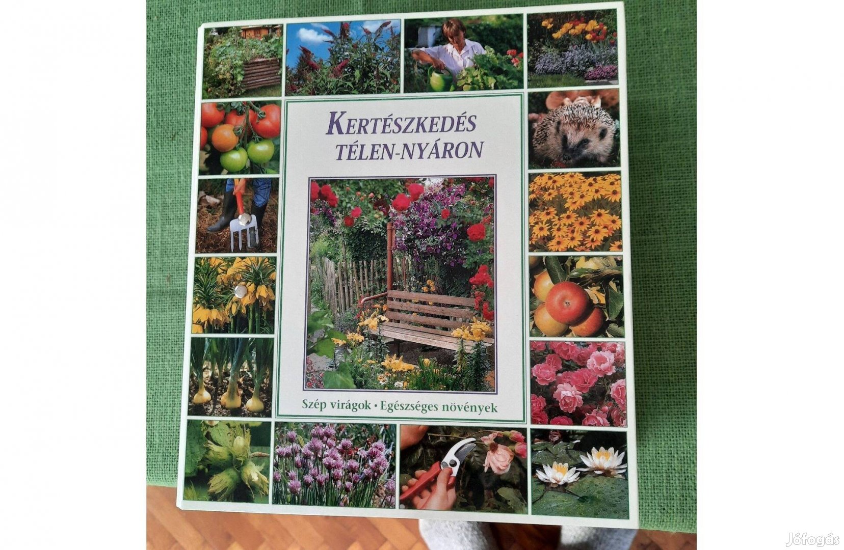 Kertészkedés télen nyáron könyv katalógus eladó 2.000.-Ft