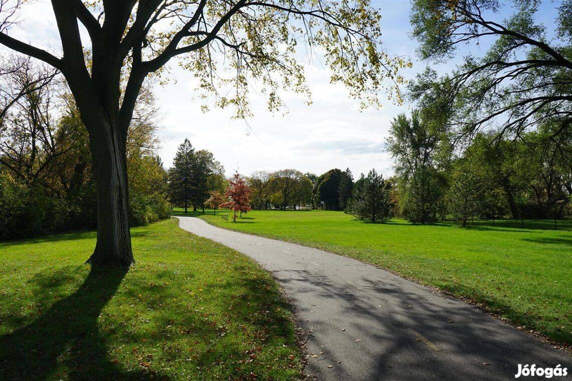 Kertészmérnök Agrármérnök Parkfenntartási koordinátor Budapest