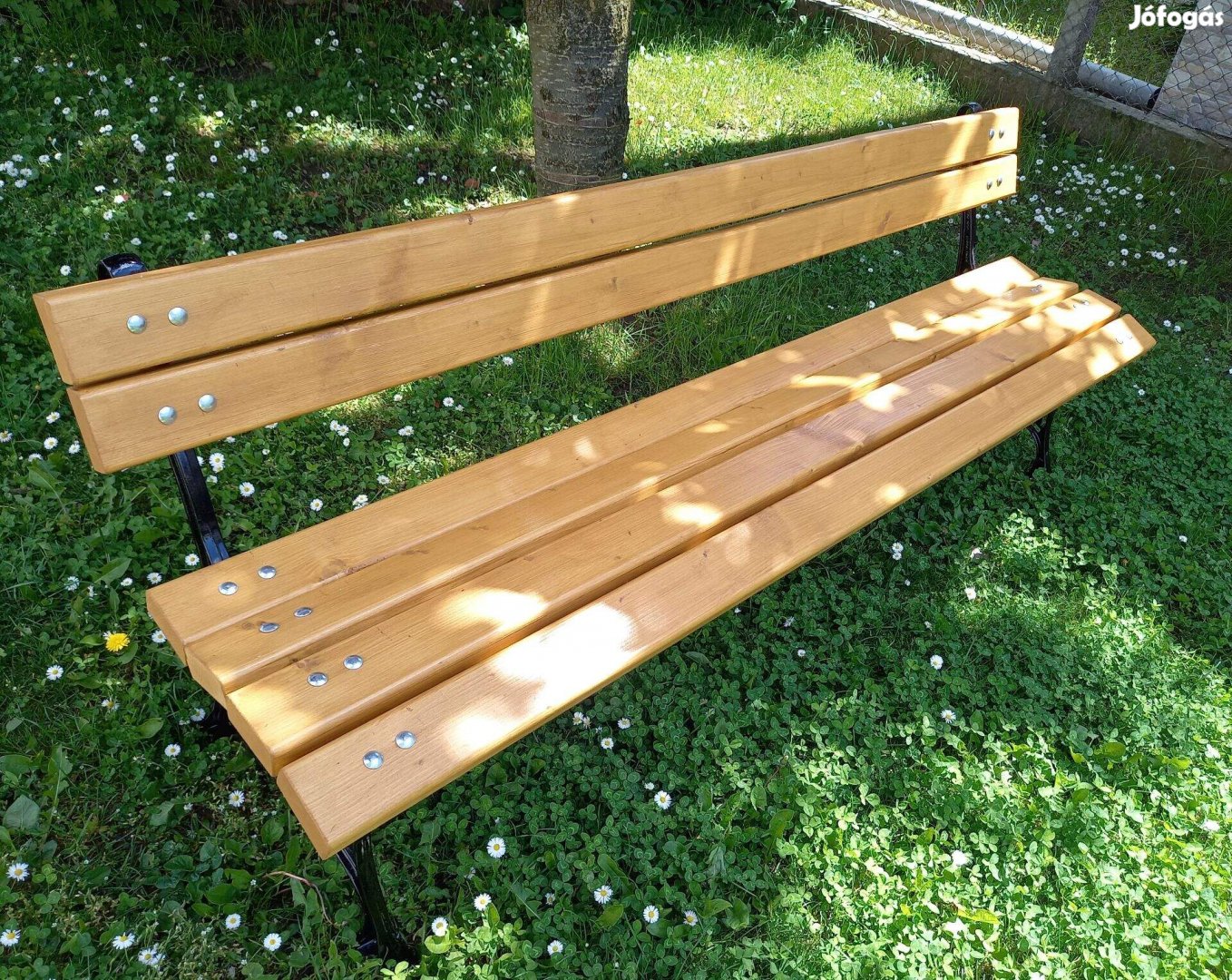 Kerti pad, kiülő