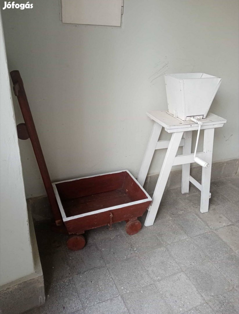 Kertidíszek eladók Miskolcon.