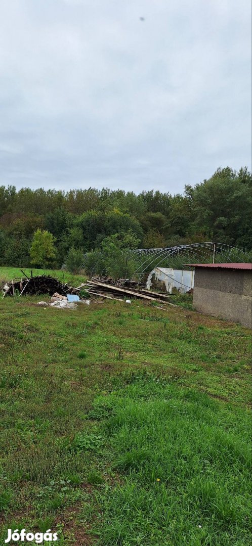 Két hatalmas jó állapotban lévő fóliasátor 