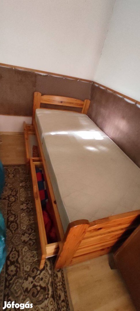 Kétfiókos fenyőágy