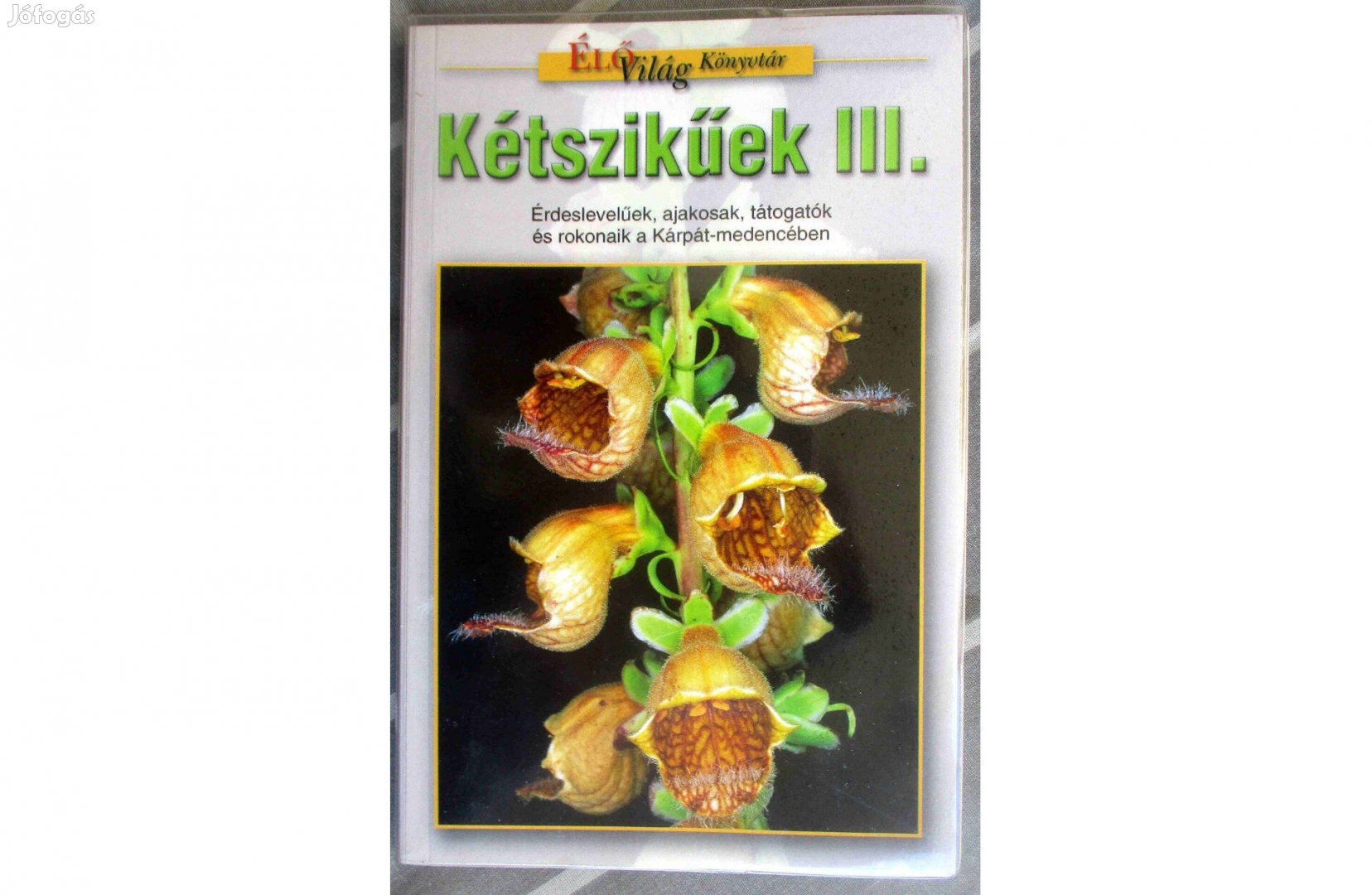 Kétszikűek III. Érdeslevelűek, ajakosak, tátogatók és rokonaik a Kárpá