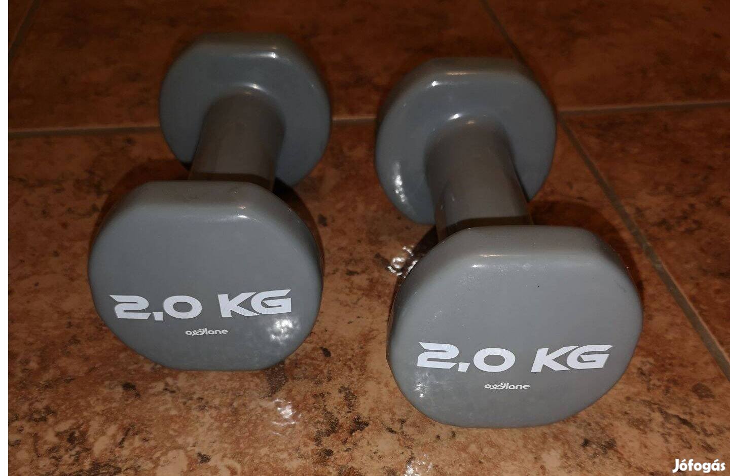Kézi súlyzó 2 kg