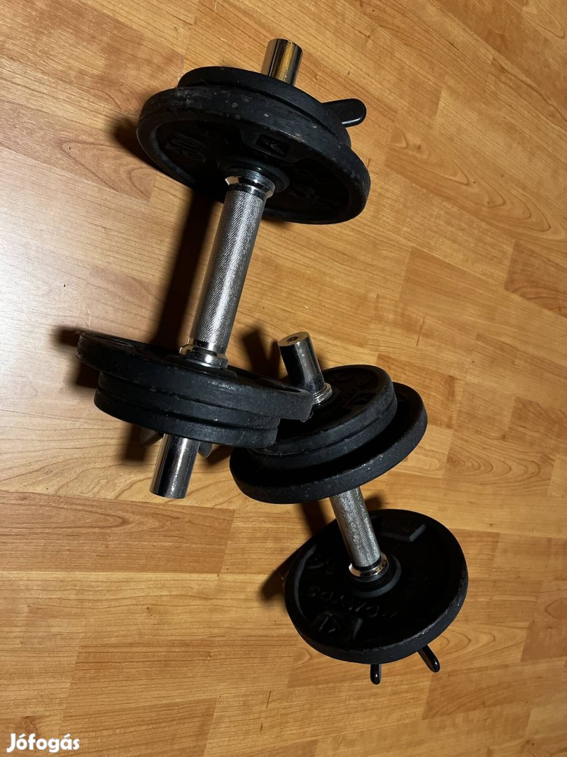 Kézi súlyzó - 1 pár - 2x10kg