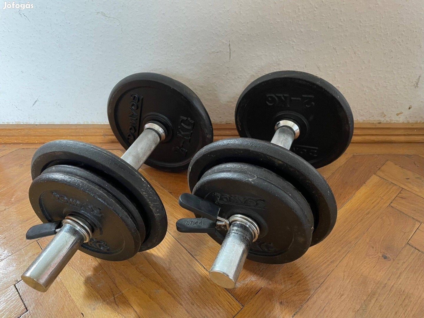 Kézi súlyzó készlet Domyos, 10 és 12 kg-os