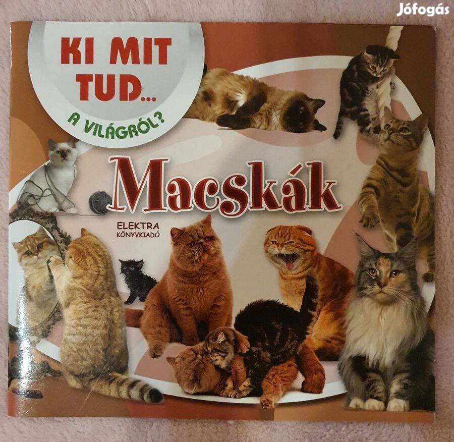 Ki mit tud. A világról sorozat - Macskák