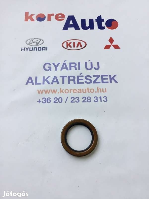 Kia Hyundai differenciálmű szimering 5305039100