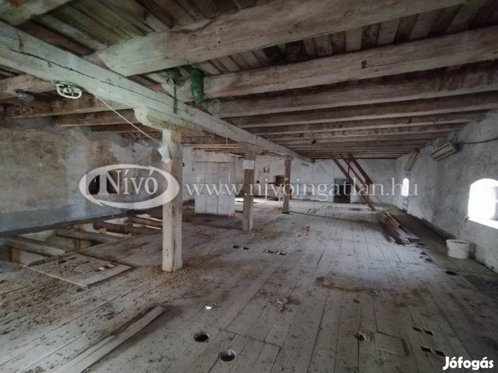 Kiadó 450 nm-es Raktár Sóly